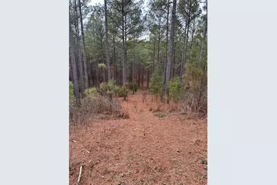 0 S Highway 225 S, Chatsworth, GA 30705 - Photo 28