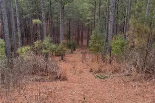 0 S Hwy 225 S, Chatsworth, GA 30705 - Photo 28