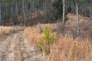 0 S Hwy 225 S, Chatsworth, GA 30705 - Photo 32