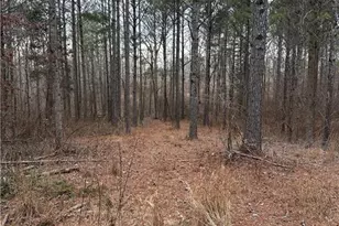0 S Hwy 225 S, Chatsworth, GA 30705 - Photo 40