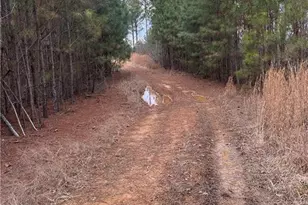 0 S Hwy 225 S, Chatsworth, GA 30705 - Photo 30