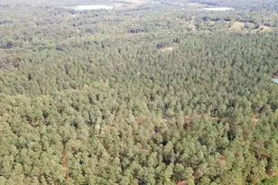 0 S Hwy 225 S, Chatsworth, GA 30705 - Photo 12