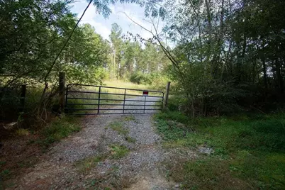 0 S Highway 225 S, Chatsworth, GA 30705 - Photo 6