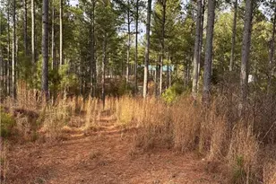 0 S Hwy 225 S, Chatsworth, GA 30705 - Photo 50