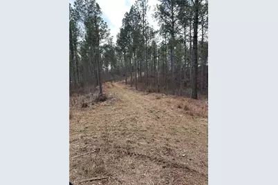 0 S Highway 225 S, Chatsworth, GA 30705 - Photo 26