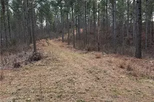 0 S Hwy 225 S, Chatsworth, GA 30705 - Photo 26