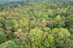 6668 Belton Bridge Rd, Lula, GA 30554 - Photo 18