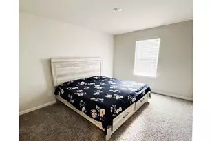 710 Magnolia Dr, Dawsonville, GA 30534 - Photo 10