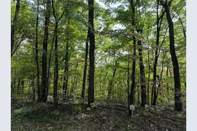 30 Andes Ridge, Jasper, GA 30143 - Photo 2