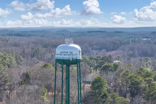 200 Deerberry Dr, Jasper, GA 30143 - Photo 56