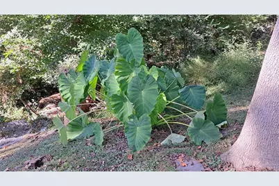 1176 Converse Drive NE, Atlanta, GA 30324 - Photo 28