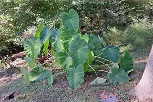 1176 Converse Dr NE, Atlanta, GA 30324 - Photo 28