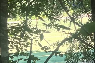 132 SW Wolf View Ct SW, Atlanta, GA 30349 - Photo 36