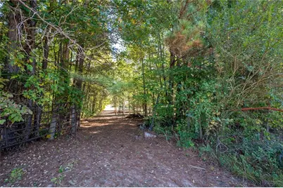 399 Estelle Middleton Road, Chatsworth, GA 30705 - Photo 34