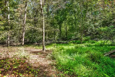 6595 Akins Way, Cumming, GA 30041 - Photo 16