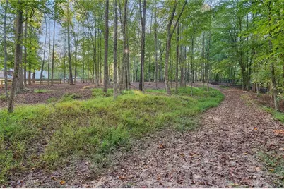 949 Freehome Road, Canton, GA 30115 - Photo 62