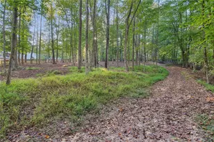 949 Free Home Rd, Canton, GA 30115 - Photo 62