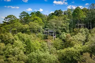 250 Noah Cir, Ellijay, GA 30540 - Photo 64