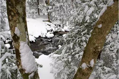 740 Little Rock Creek Road, Cherrylog, GA 30522 - Photo 96