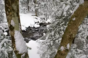 740 Little Rock Creek Rd, Cherrylog, GA 30522 - Photo 96