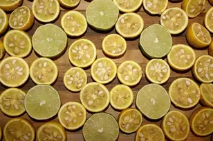 740 Little Rock Creek Rd, Cherrylog, GA 30522 - Photo 92