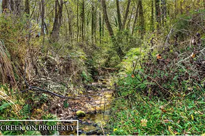 1736 Airline School Rd, Bowersville, GA 30516 - Photo 24