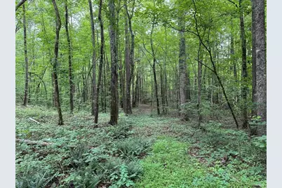 0 Brewsterfield Road, Cedartown, GA 30125 - Photo 1