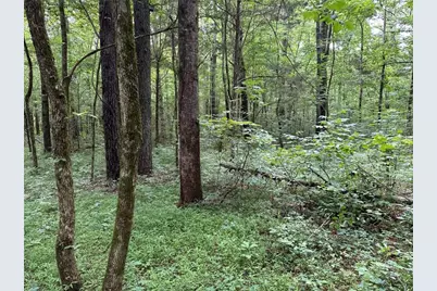 0 Brewsterfield Road, Cedartown, GA 30125 - Photo 6