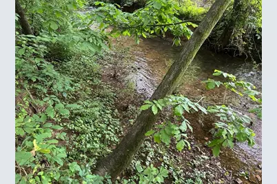 0 Brewsterfield Road, Cedartown, GA 30125 - Photo 14