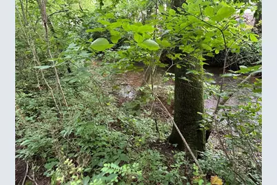 0 Brewsterfield Road, Cedartown, GA 30125 - Photo 8