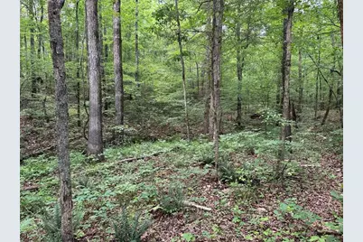 0 Brewsterfield Road, Cedartown, GA 30125 - Photo 22