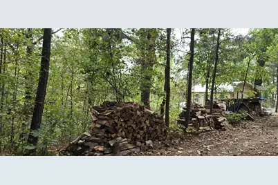 1251 Rambling Road, Fairmount, GA 30139 - Photo 4