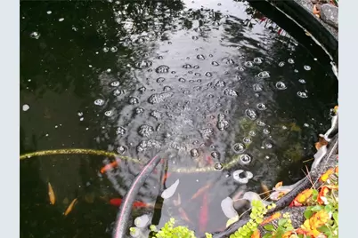 2735 Wendy Lane, Marietta, GA 30062 - Photo 6