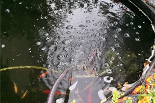 2735 Wendy Ln, Marietta, GA 30062 - Photo 6