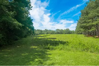 1145 Thurston Snow Road, Good Hope, GA 30641 - Photo 96