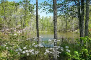 915 Ebenezer Ln, Milton, GA 30075 - Photo 16