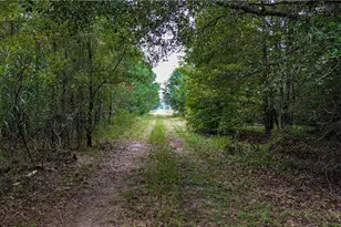 0 Willow Creek Dr, Oglethorpe, GA 31068 - Photo 4