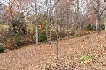 313 Hester Road, Dahlonega, GA 30533 - Photo 14