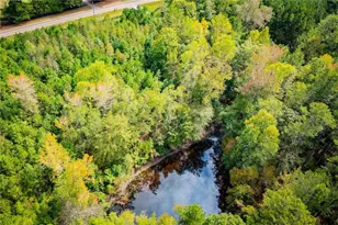 354 Turner Rd, Newnan, GA 30263 - Photo 38