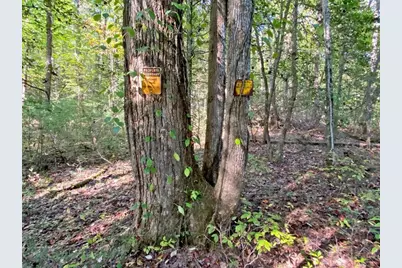 169 Dunns Road, Dahlonega, GA 30533 - Photo 98