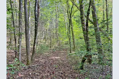 169 Dunns Road, Dahlonega, GA 30533 - Photo 100