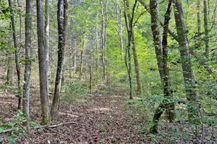 169 Dunns Rd, Dahlonega, GA 30533 - Photo 100