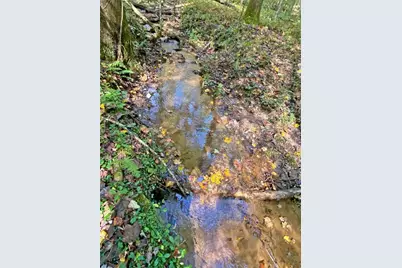 169 Dunns Road, Dahlonega, GA 30533 - Photo 92