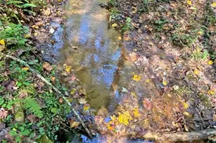 169 Dunns Rd, Dahlonega, GA 30533 - Photo 92