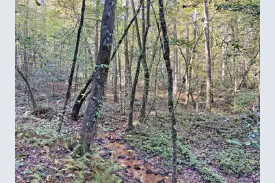 169 Dunns Road, Dahlonega, GA 30533 - Photo 96