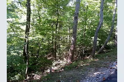 13A Greystone Road, Talking Rock, GA 30175 - Photo 2