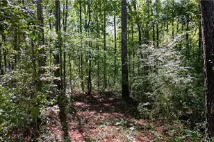 100 Liberty Bell Ln, Griffin, GA 30224 - Photo 64