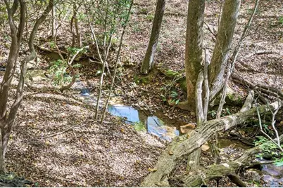 217 Goldmine Road, Morganton, GA 30560 - Photo 42