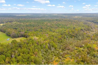 0 Berch Tree Trail, Jefferson, GA 30549 - Photo 10