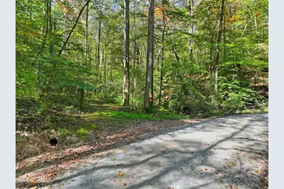 0 Tanglewood Lane, Ellijay, GA 30540 - Photo 2